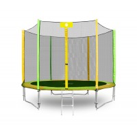 Батут ALPIN ATGY 2,52м с защитной сеткой и лестницей